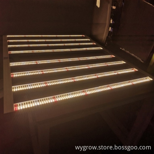 Best LED Grow Light Bar for Indoor Growing